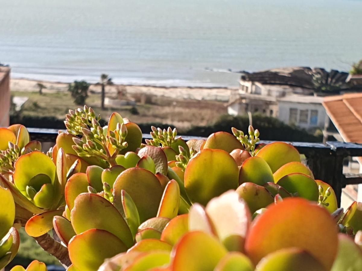 Lindos Bed & Breakfast Gela Bagian luar foto